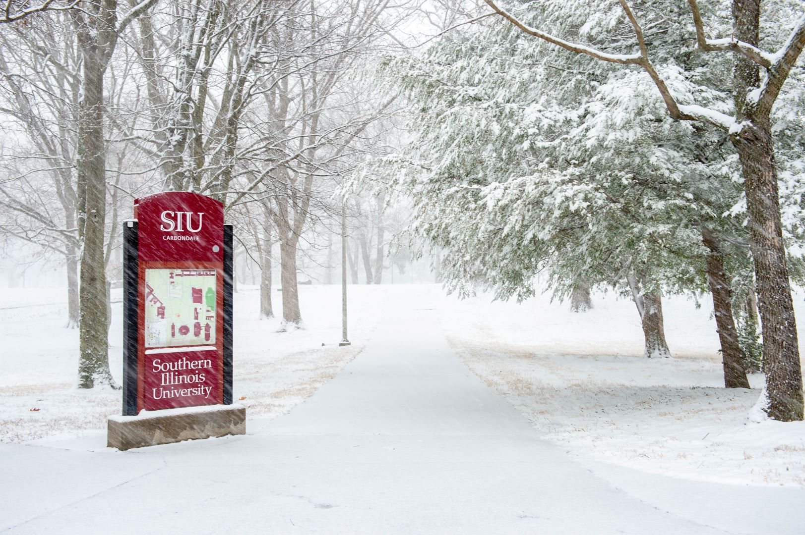 the first snow on campus