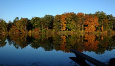 campus in the fall