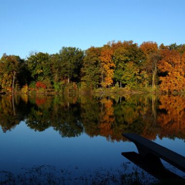 campus in the fall