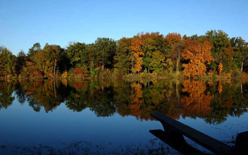 campus in the fall