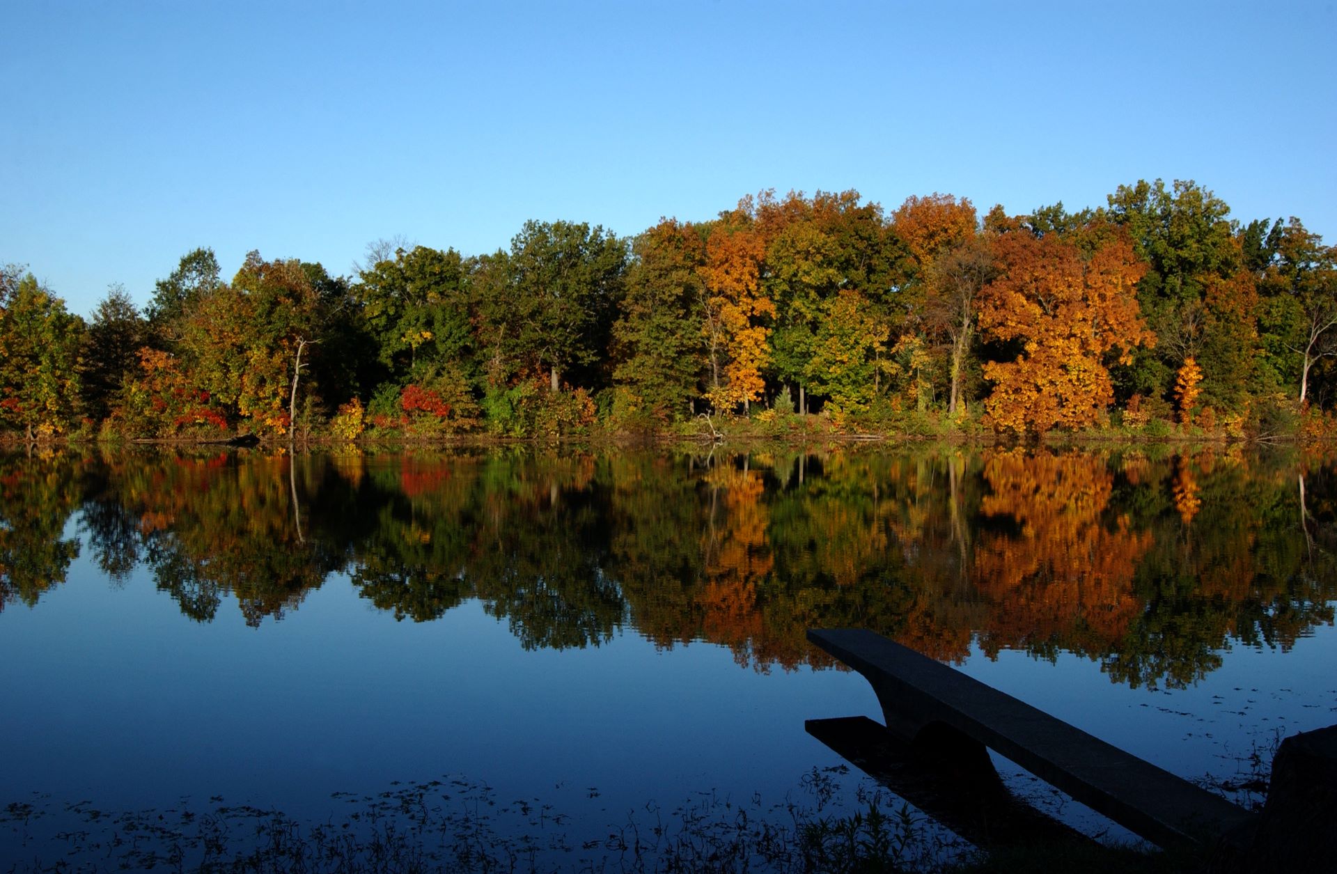 campus in the fall, hiking trail