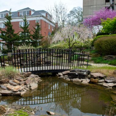 japanese garden on campus