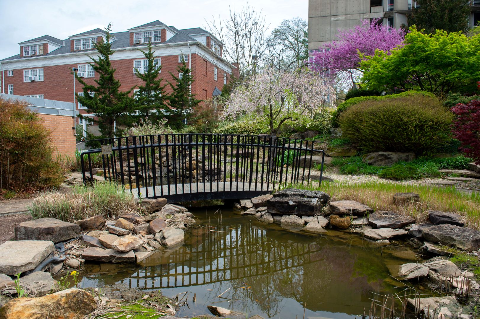 Japanese garden on SIU's campus. 