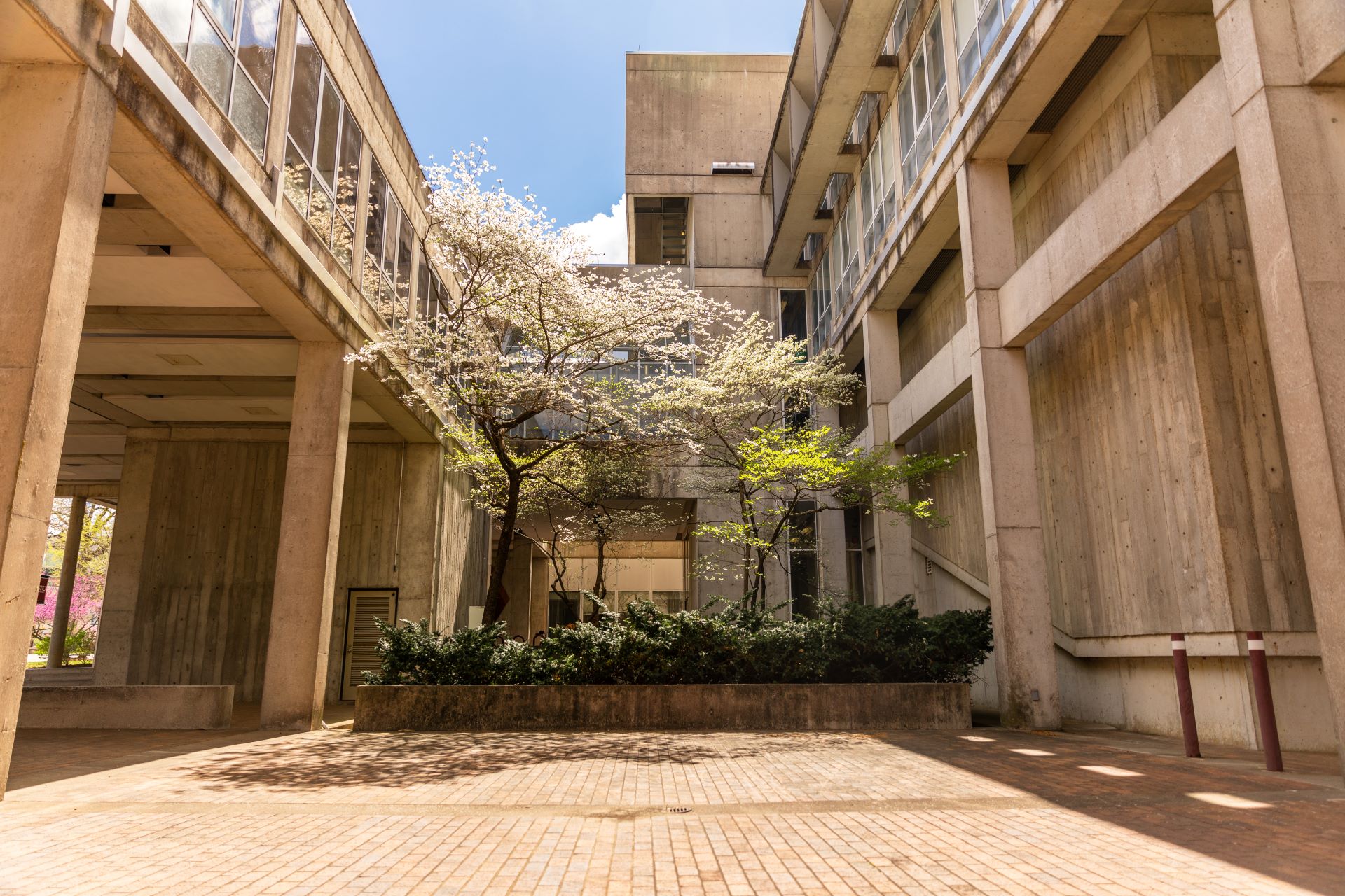 Faner Hall, home of the Center for English as a Second Language CESL. 