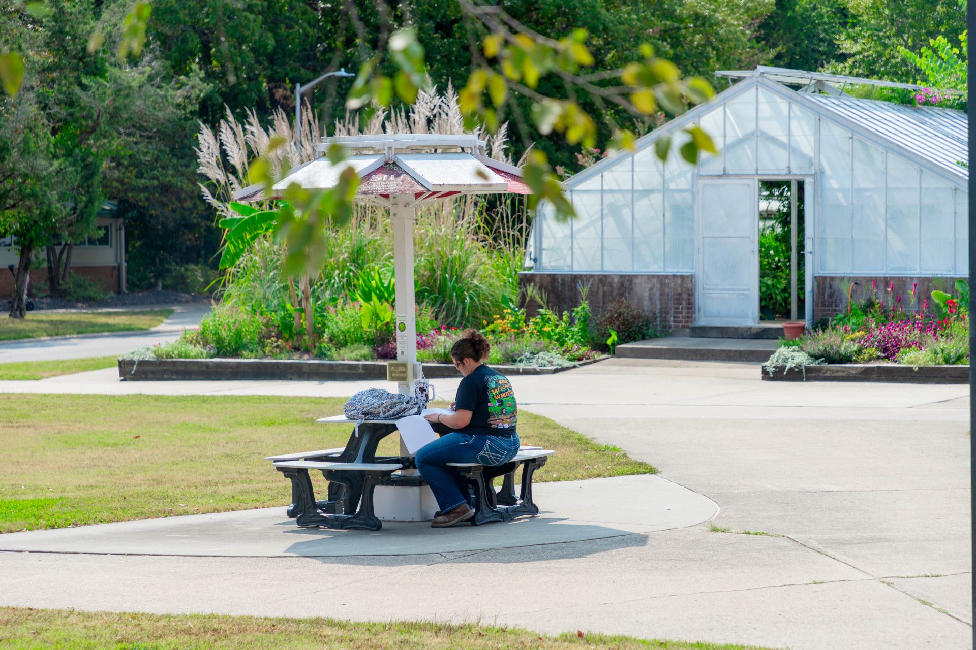 Student studying on campus. 