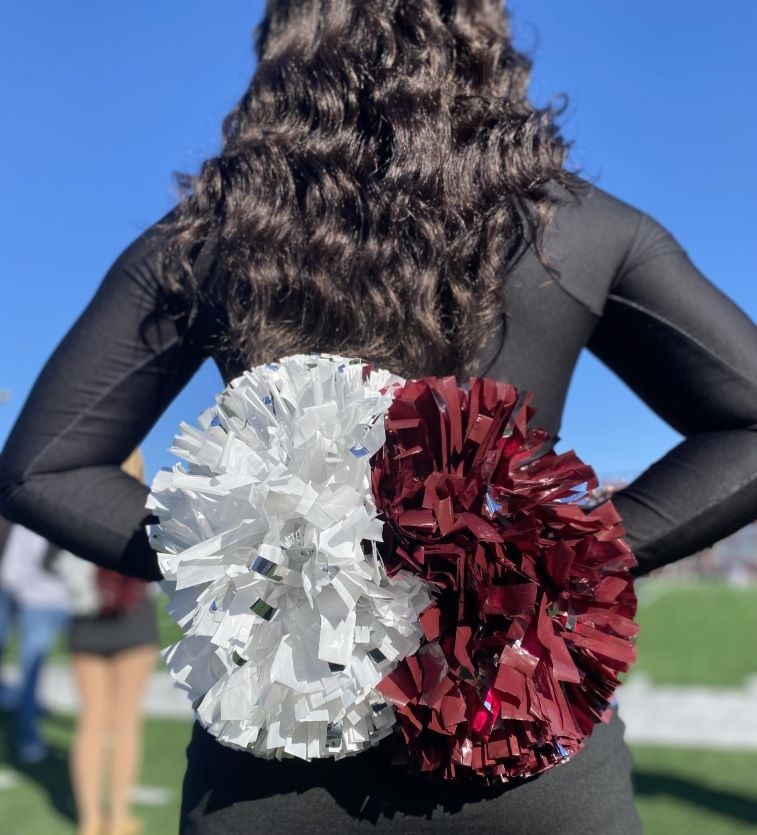 Saluki Shaker at football game. 