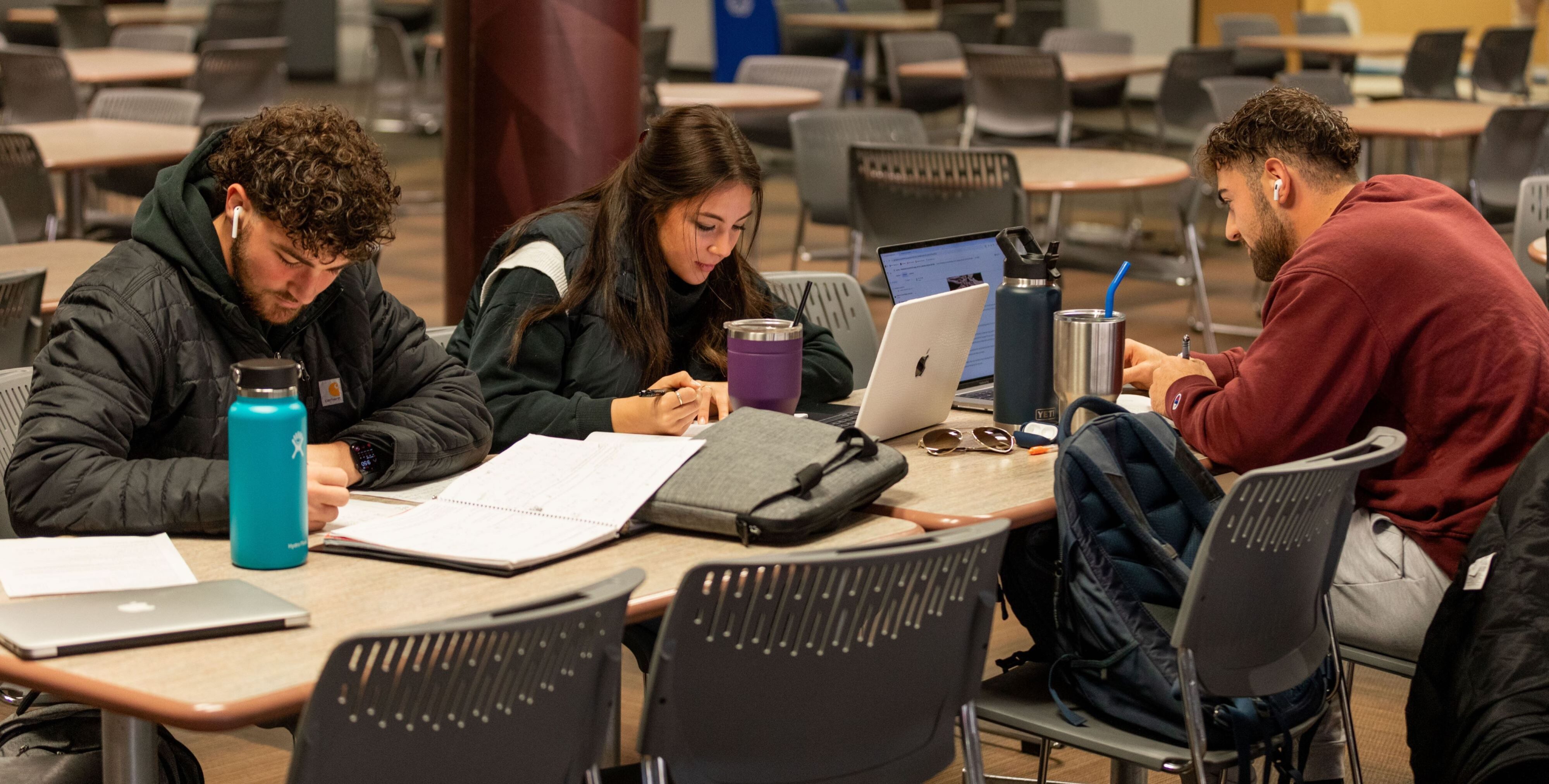 students using their spring break time to study
