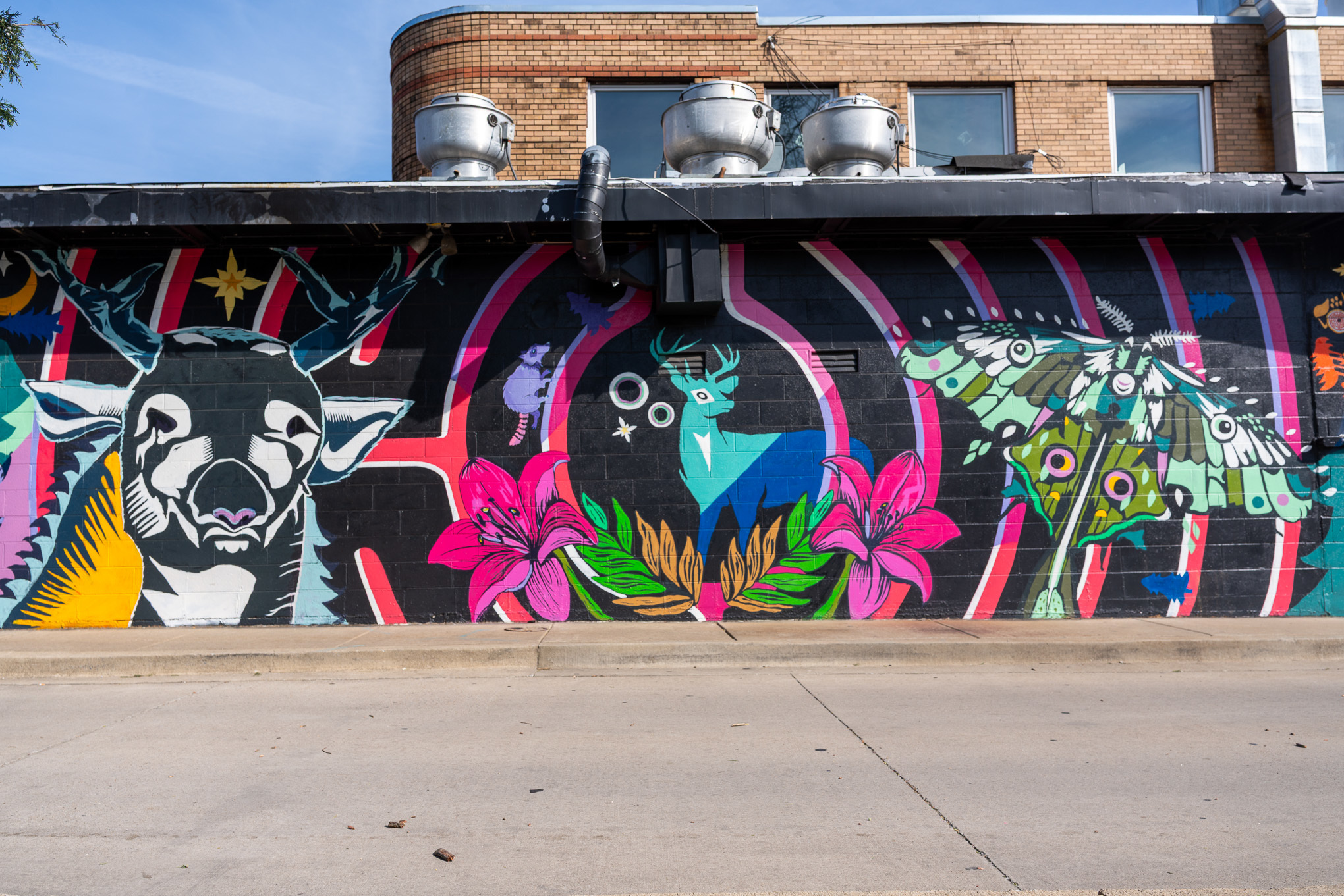 Mural of animals in Southern Illinois.