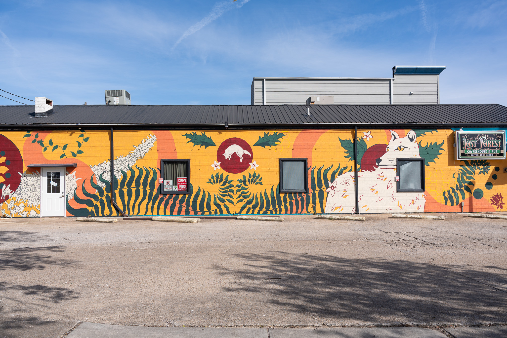 Mural highlighting the solar eclipse and beauty of southern Illinois.