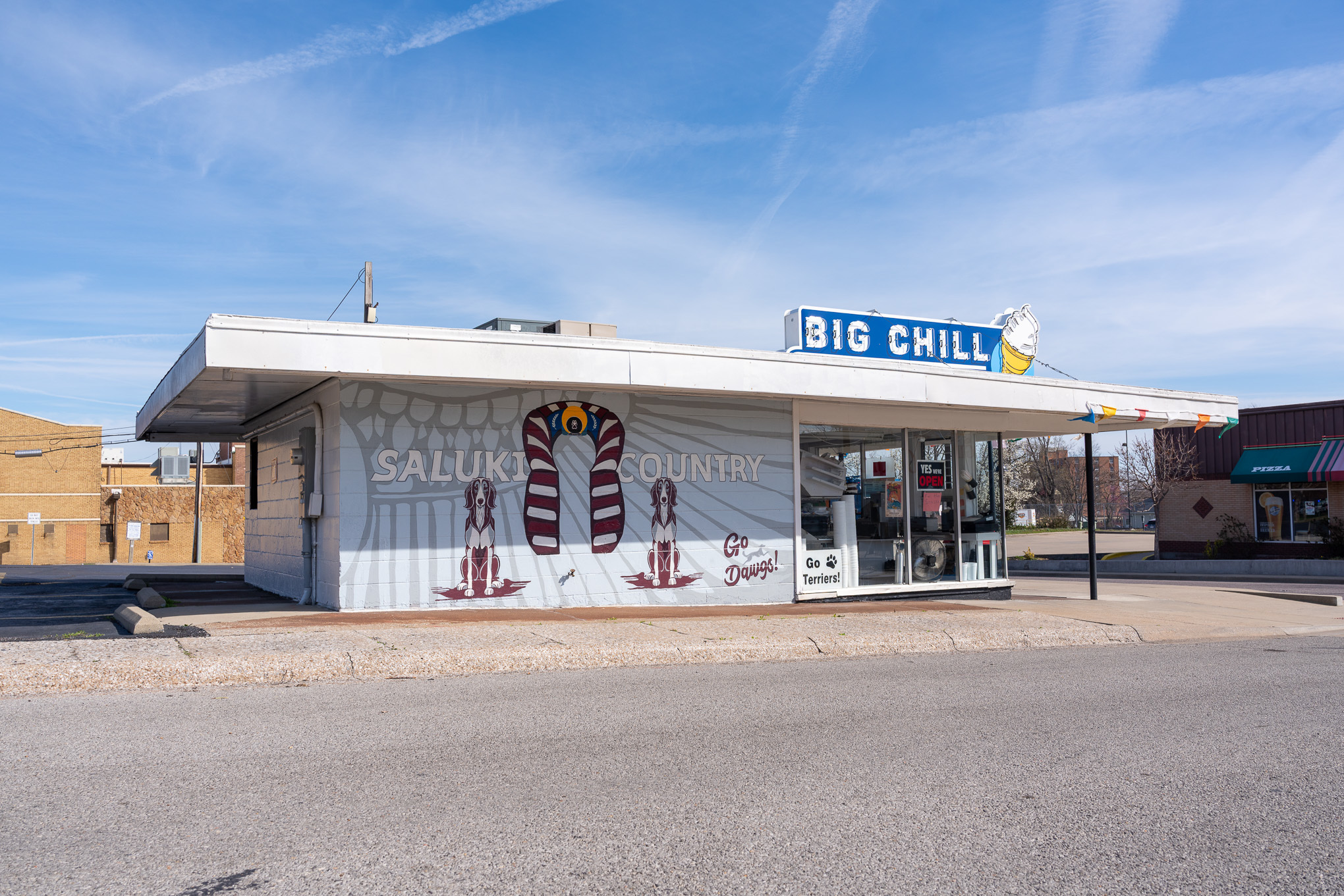 Mural of the Saluki dogs. Go Dawgs. on the outside of the Carbondale Dairy Queen now known as the Big Chill
