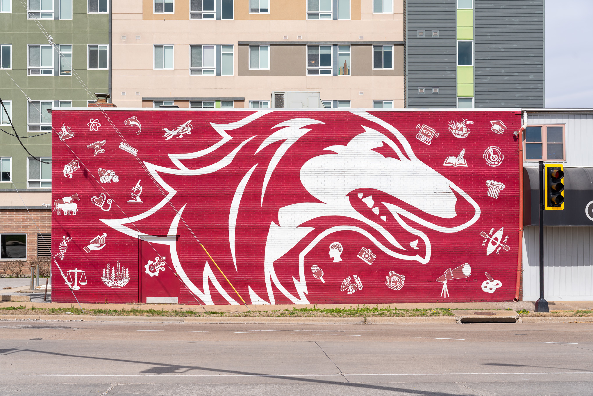 Saluki head covered with symbols representing majors that students can pursue at SIU.