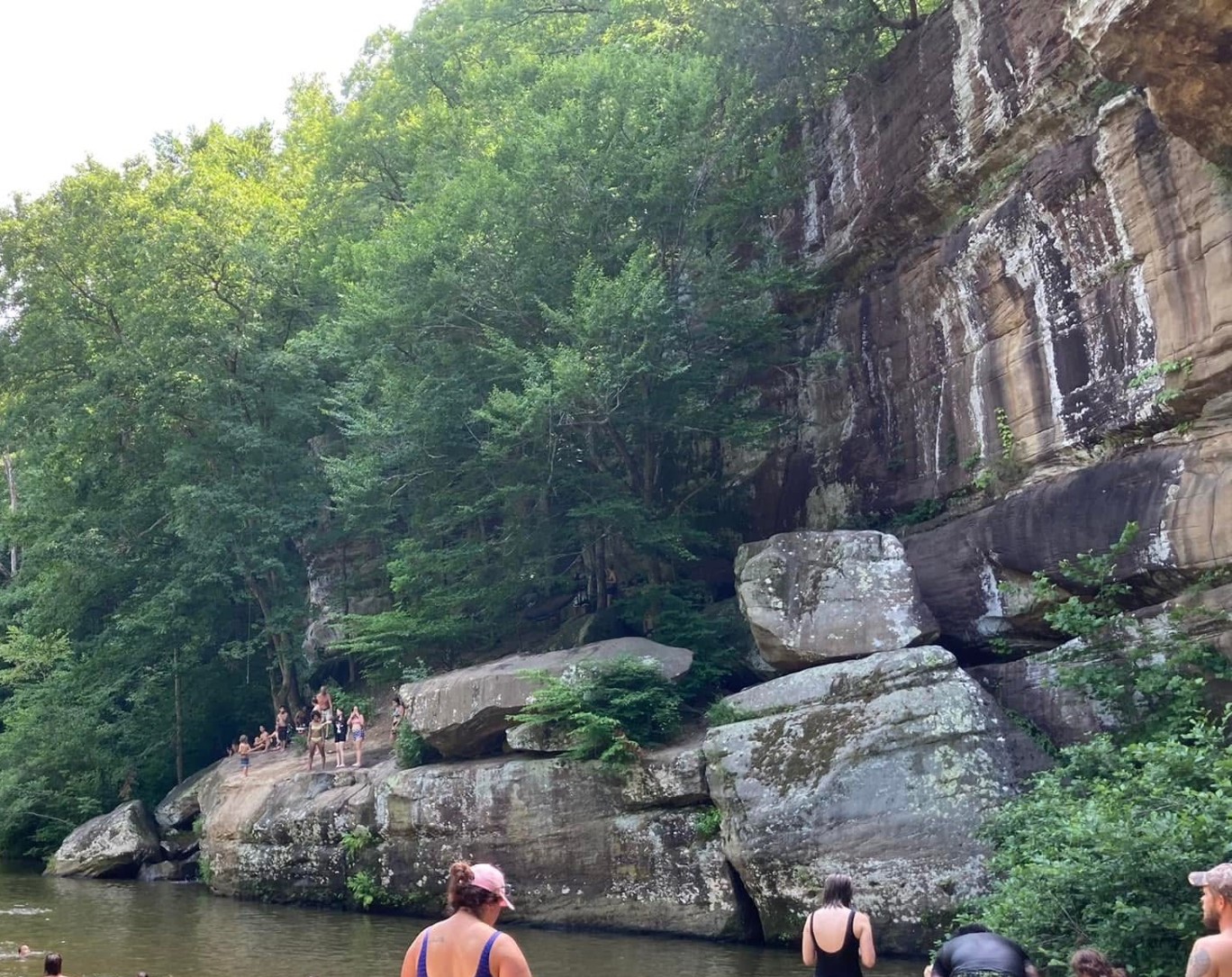 swimming and hiking spot at bell smith springs