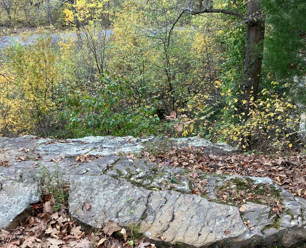 hiking trail at giant city