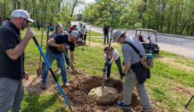 people planting a tree on campus