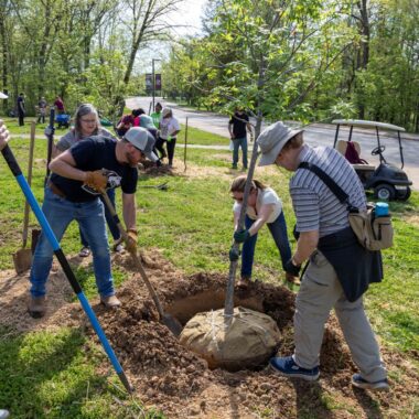 people planting a tree on campus