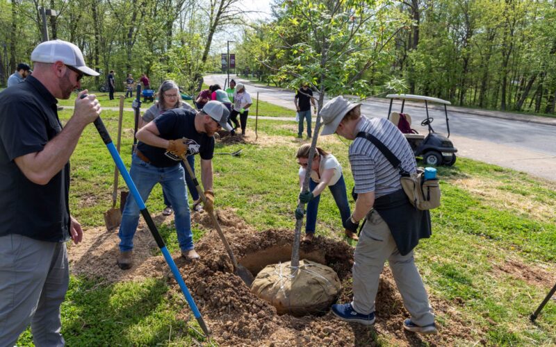 people planting a tree on campus