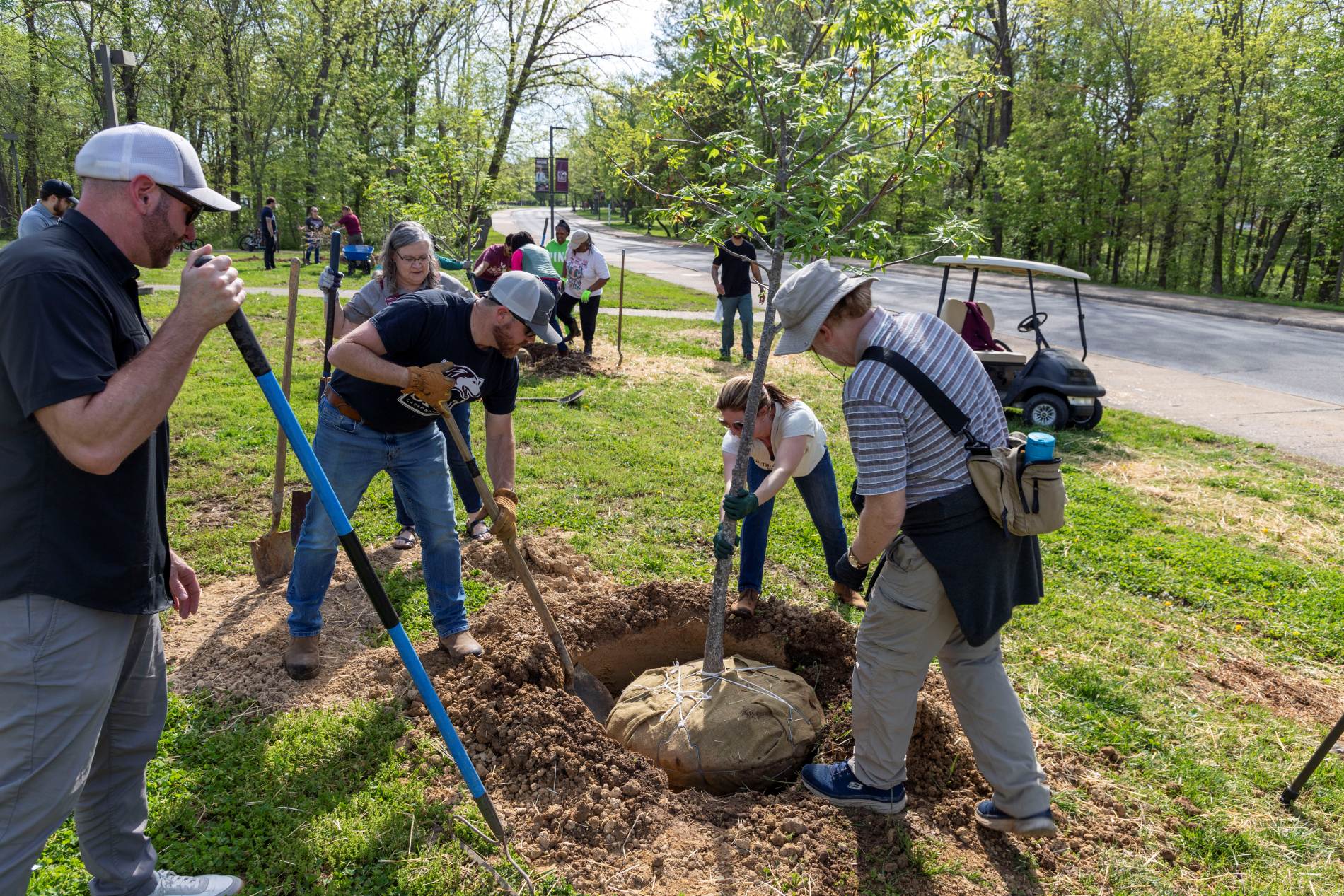 people planting a tree on campus