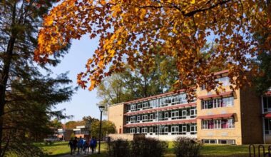 fall leaves on campus