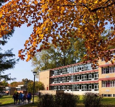fall leaves on campus