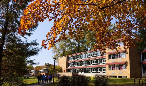fall leaves on campus