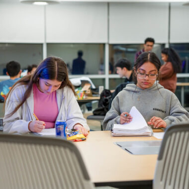 students studying in the library