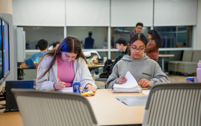 students studying in the library