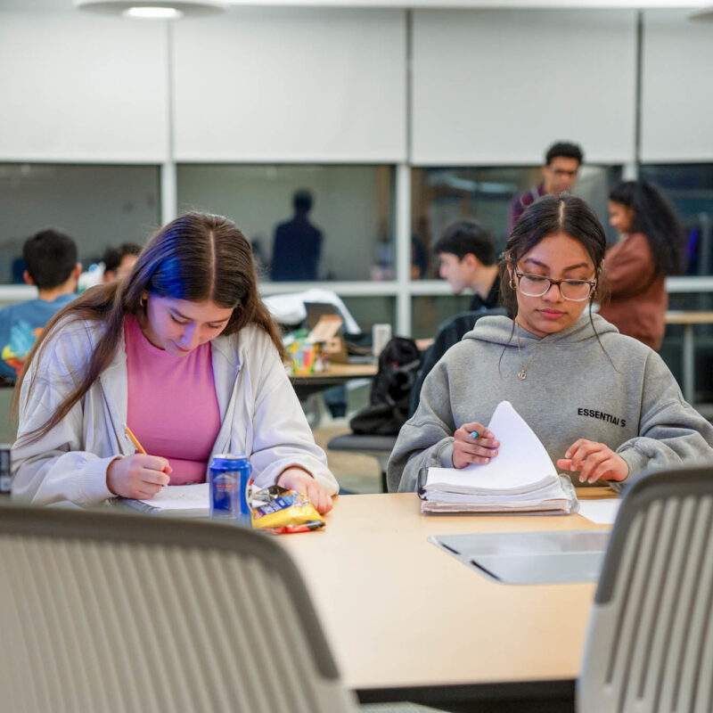 students studying in the library