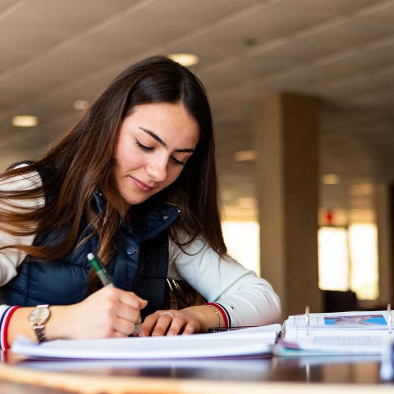 student studying in the library