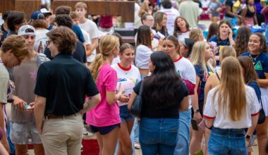 fall involvement fair
