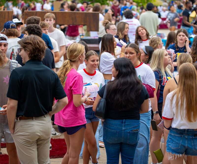 fall involvement fair